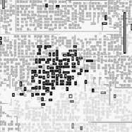 Spatial-Pattern-Induced Evolution image