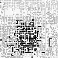 Spatial-Pattern-Induced Evolution image