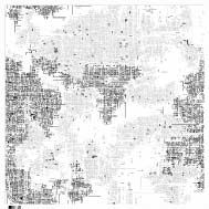 Spatial-Pattern-Induced Evolution image