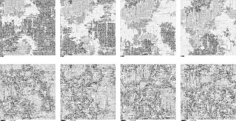 Spatial-Pattern-Induced Evolution image