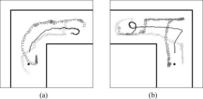 Evolving Homogeneous image