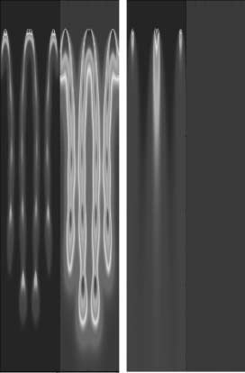 The Evolution of Reaction-Diffusion image