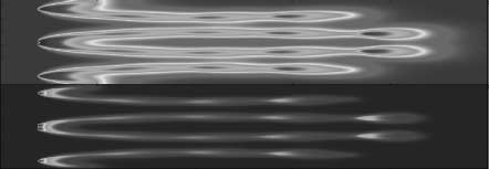 The Evolution of Reaction-Diffusion image