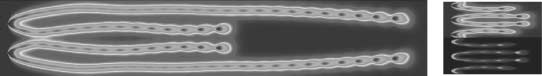 The Evolution of Reaction-Diffusion image