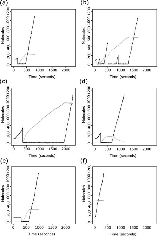 A New Model for Investigating image