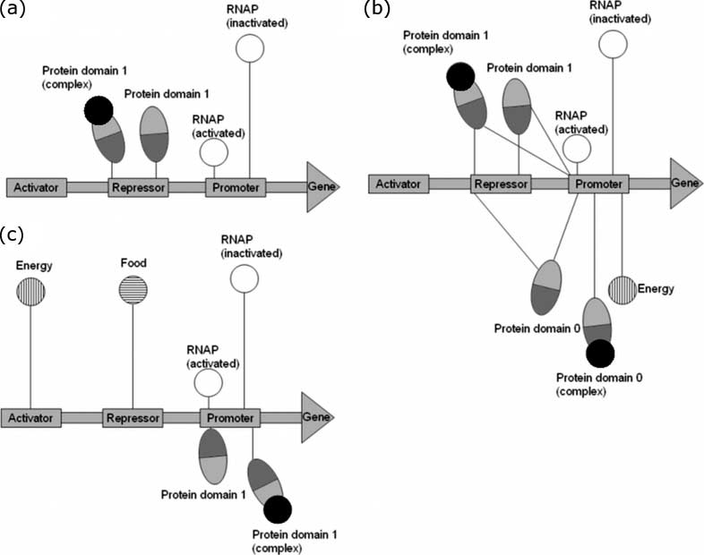 A New Model for Investigating image