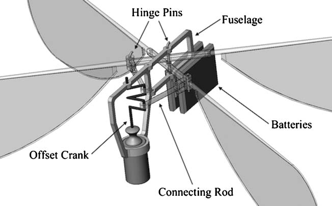 Untethered Hovering Flapping image