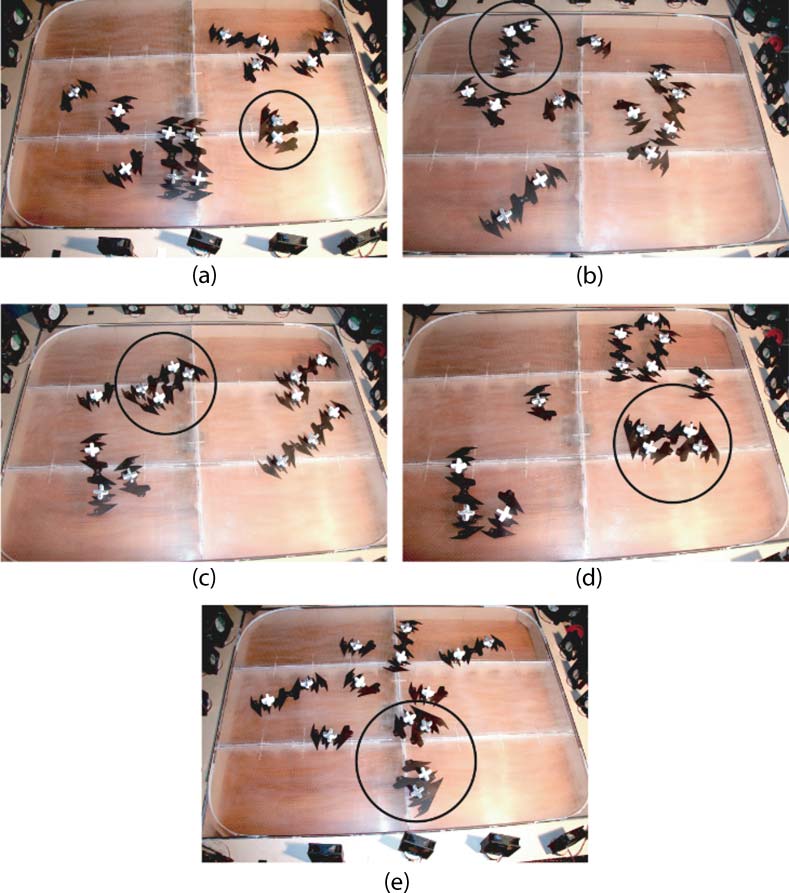 Evolvable Physical Self-Replicators image