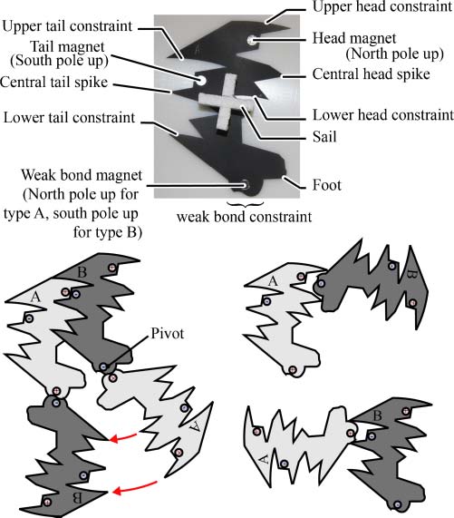 Evolvable Physical Self-Replicators image