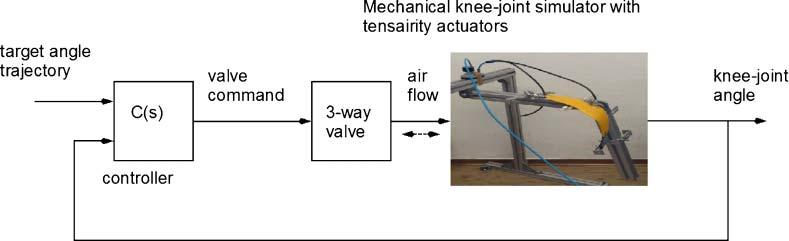 Morphological Computation image