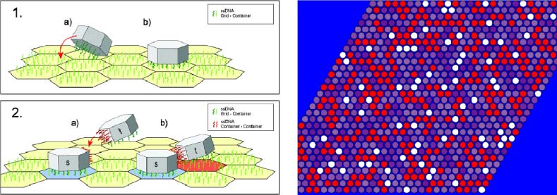 Morphological Computation image