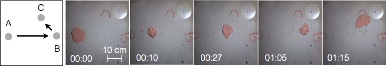 A Non-Newtonian Fluid Robot image