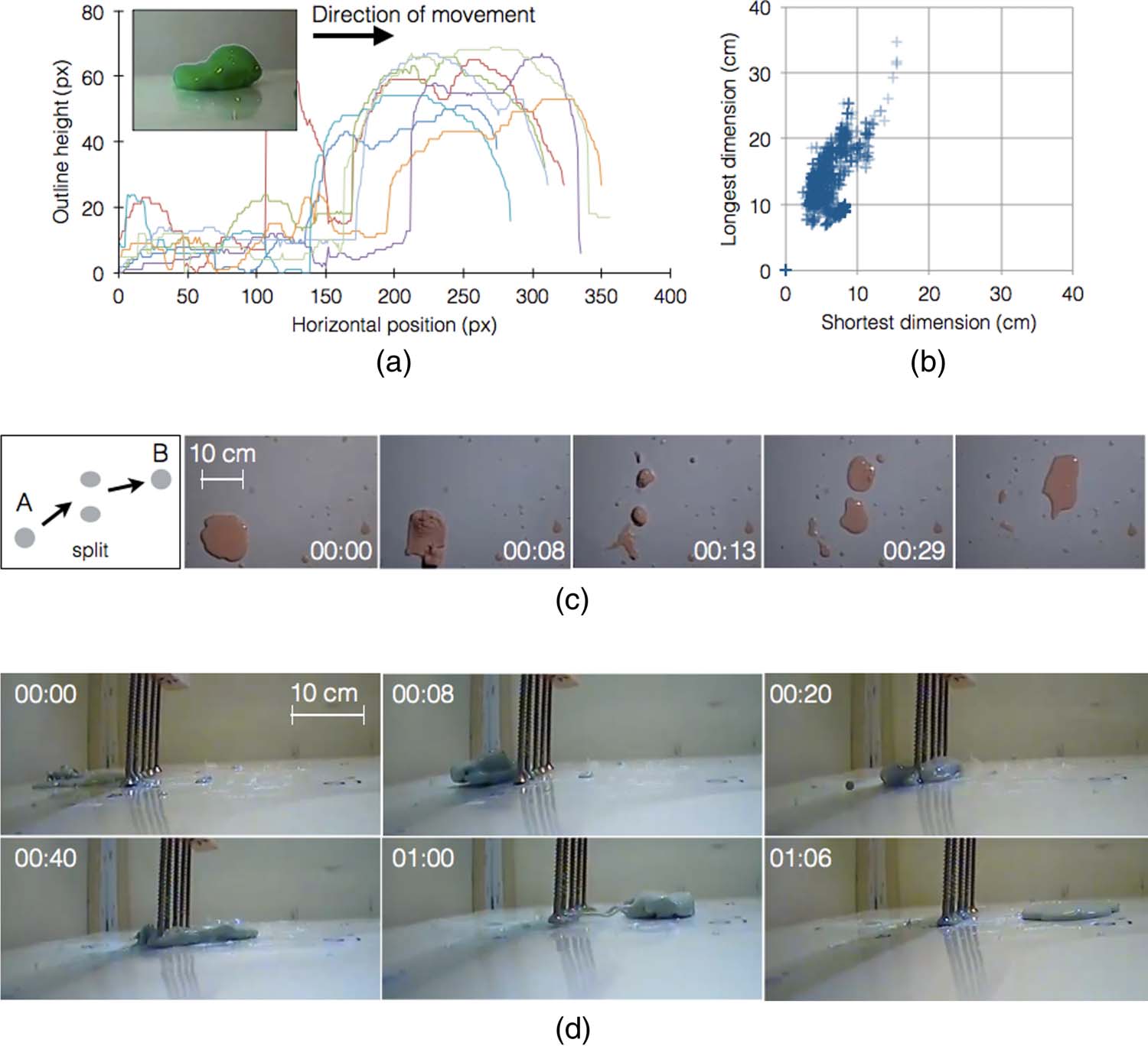 A Non-Newtonian Fluid Robot image