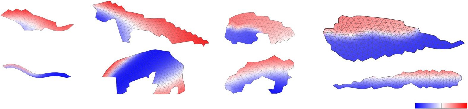 Artificial Metamorphosis: Bild