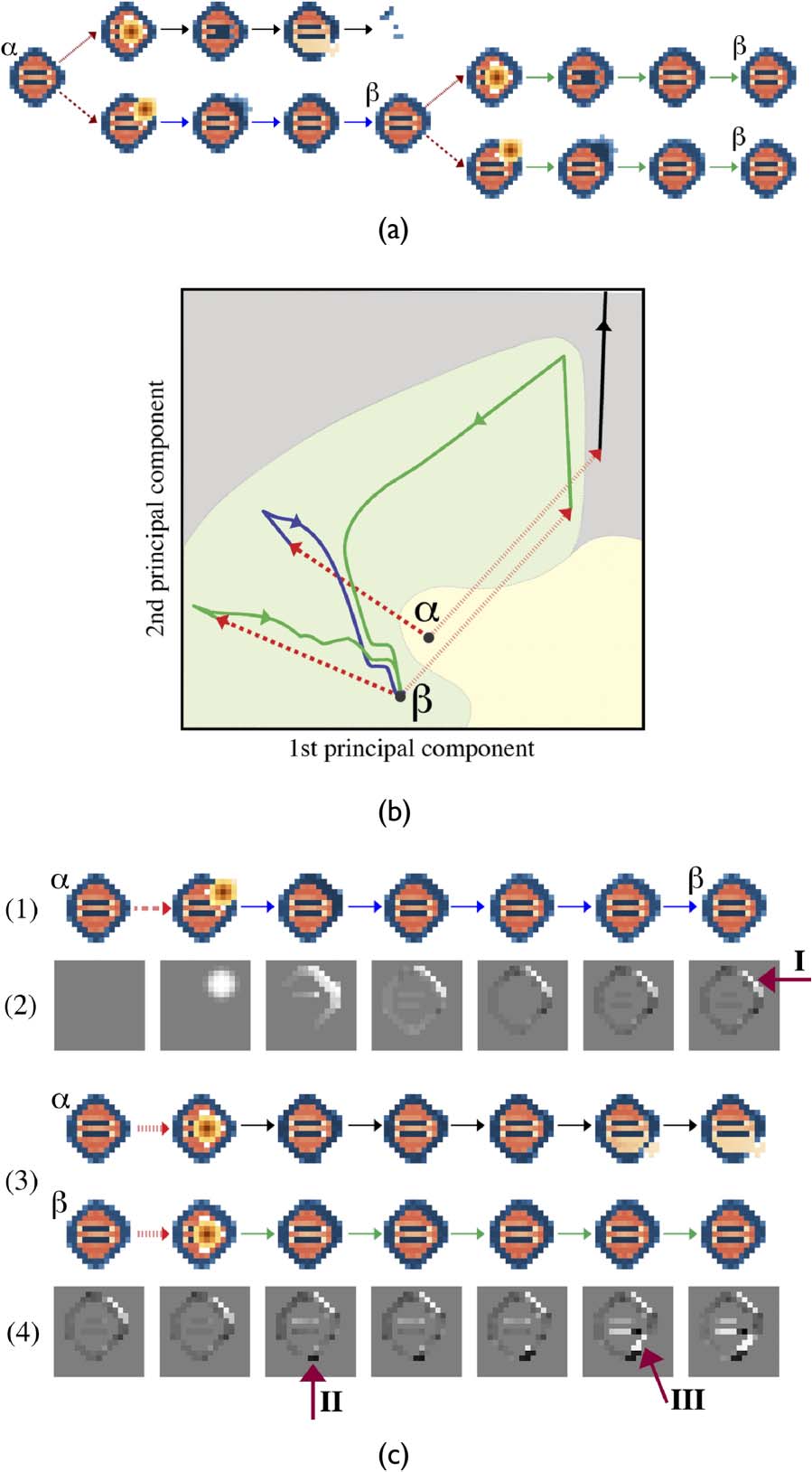 The Structure of Ontogenies in a image