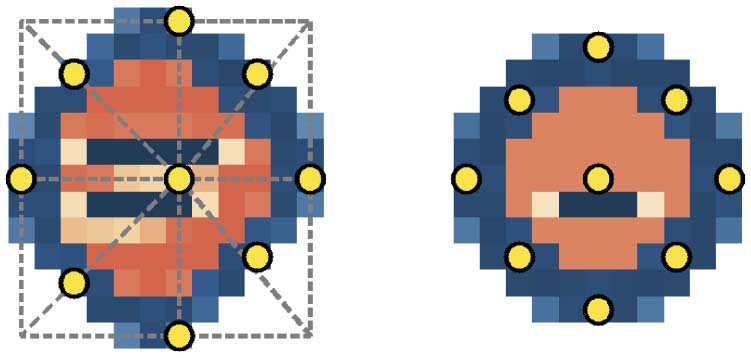 The Structure of Ontogenies in a image