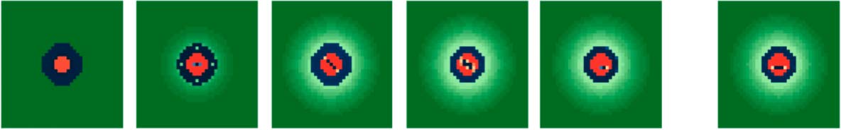 The Structure of Ontogenies in a image