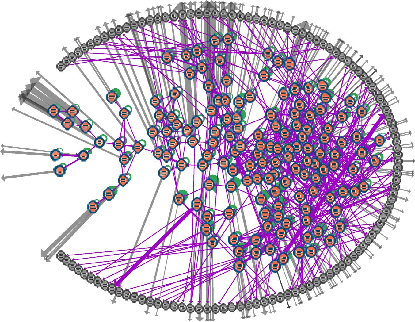 The Structure of Ontogenies in a image