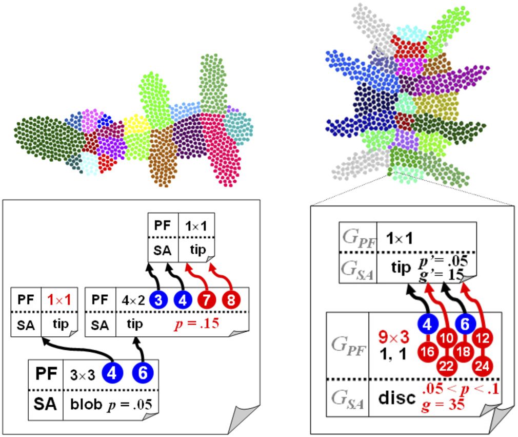 Artificial Gene Regulatory image