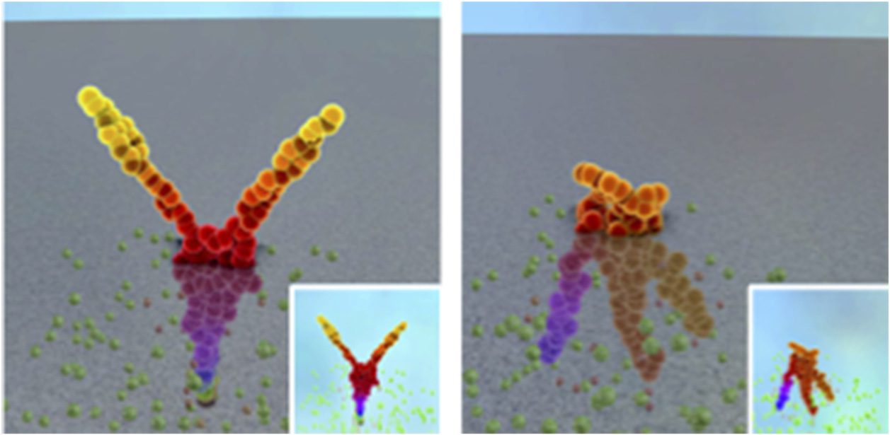 Artificial Gene Regulatory image