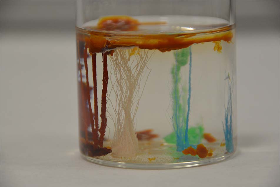 Chemobrionics: From image