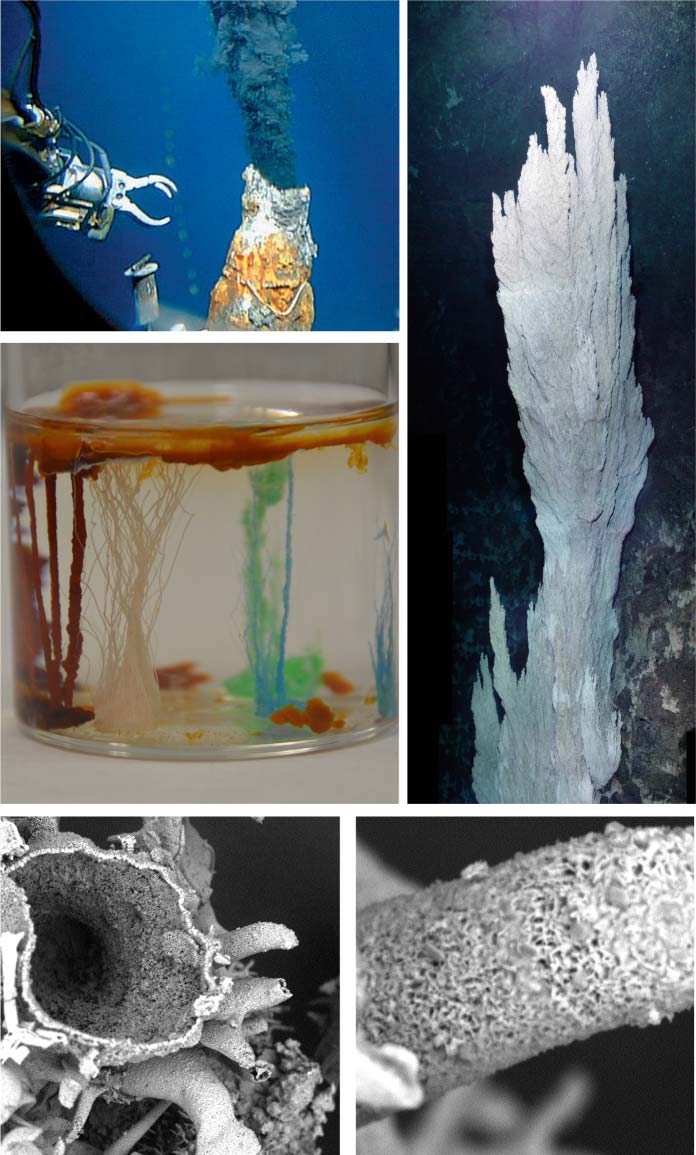 Chemobrionics: From image