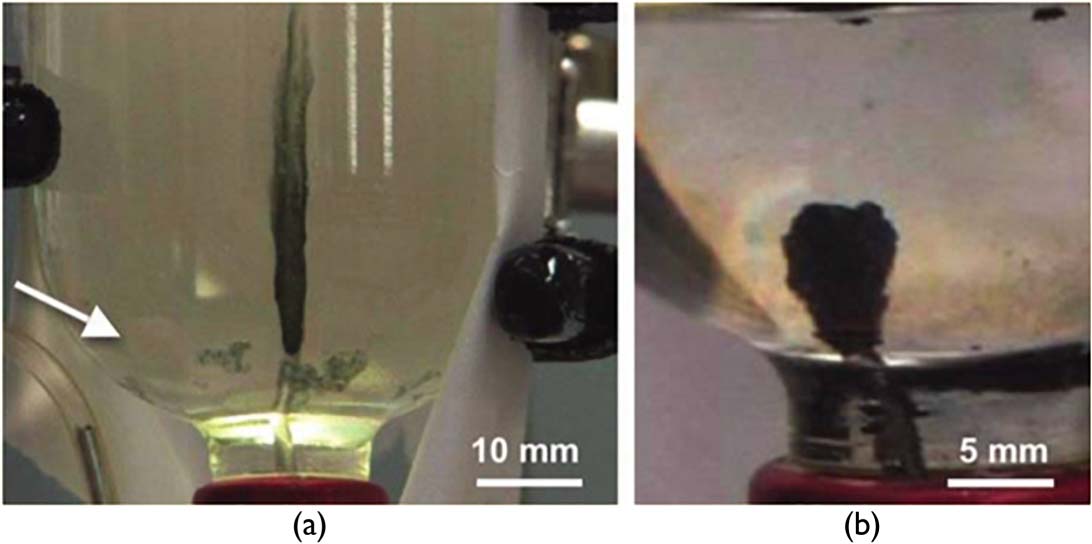 Chemobrionics: From image