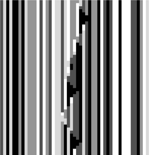 Classification of Discrete image