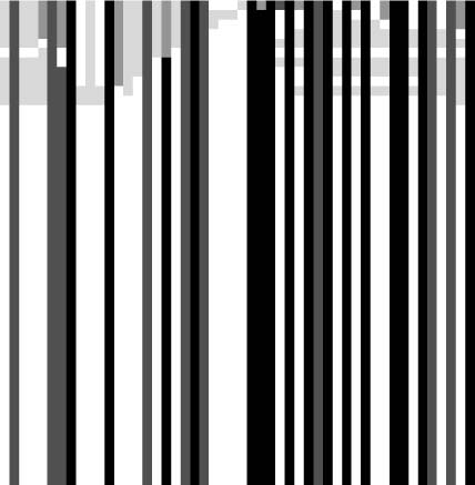 Classification of Discrete image