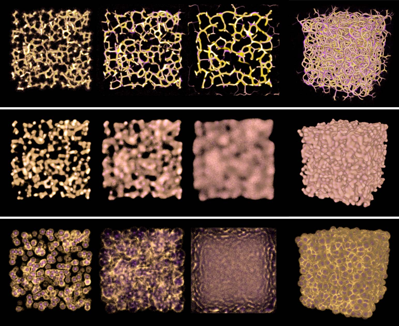 Monte Carlo Physarum Machine: 图像