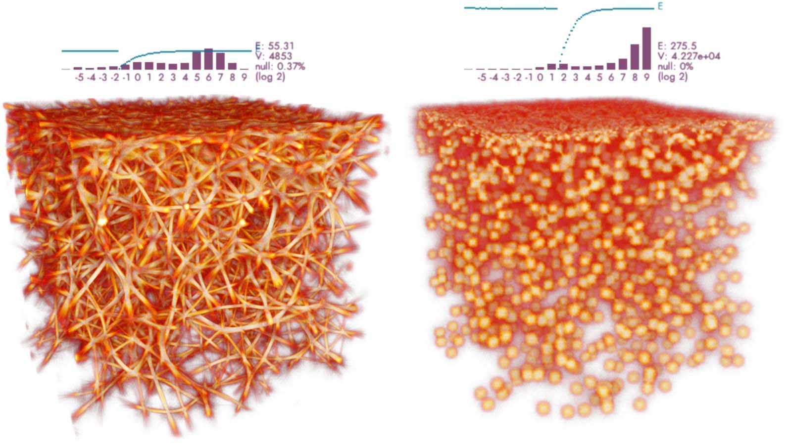 Monte Carlo Physarum Machine: 图像