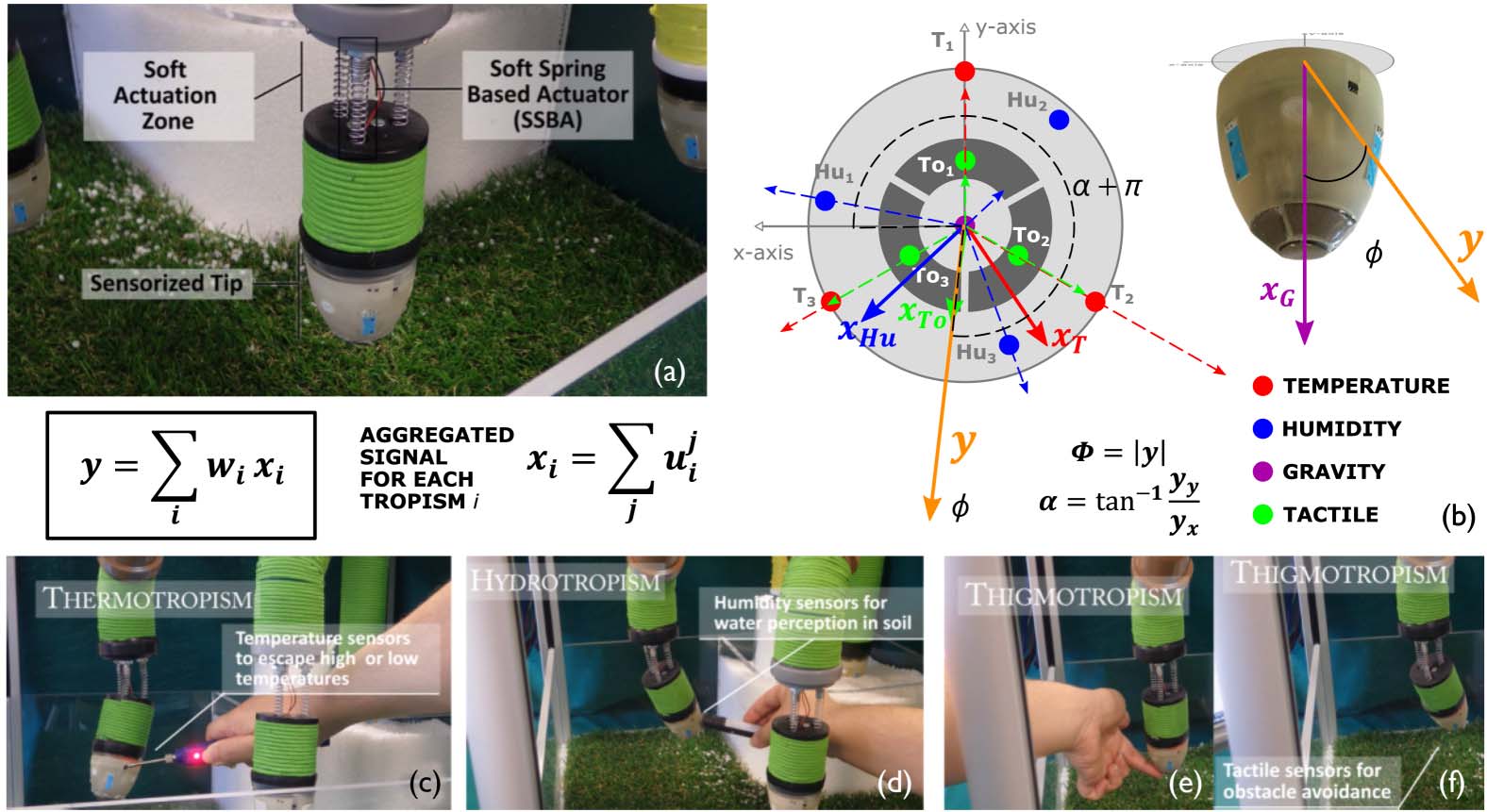 Perspectives on Computation image