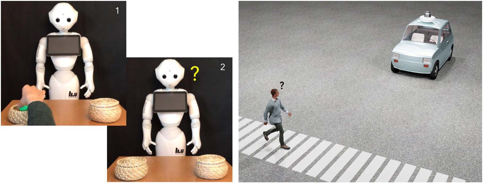 Understanding Social Robots: 图像