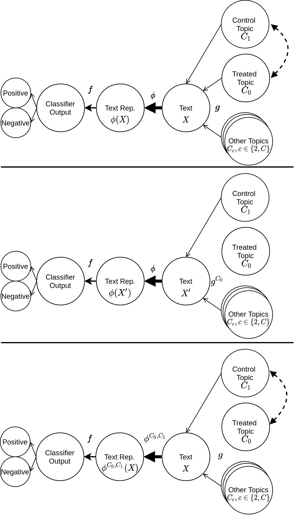 CausaLM: Causal Model Explanation image