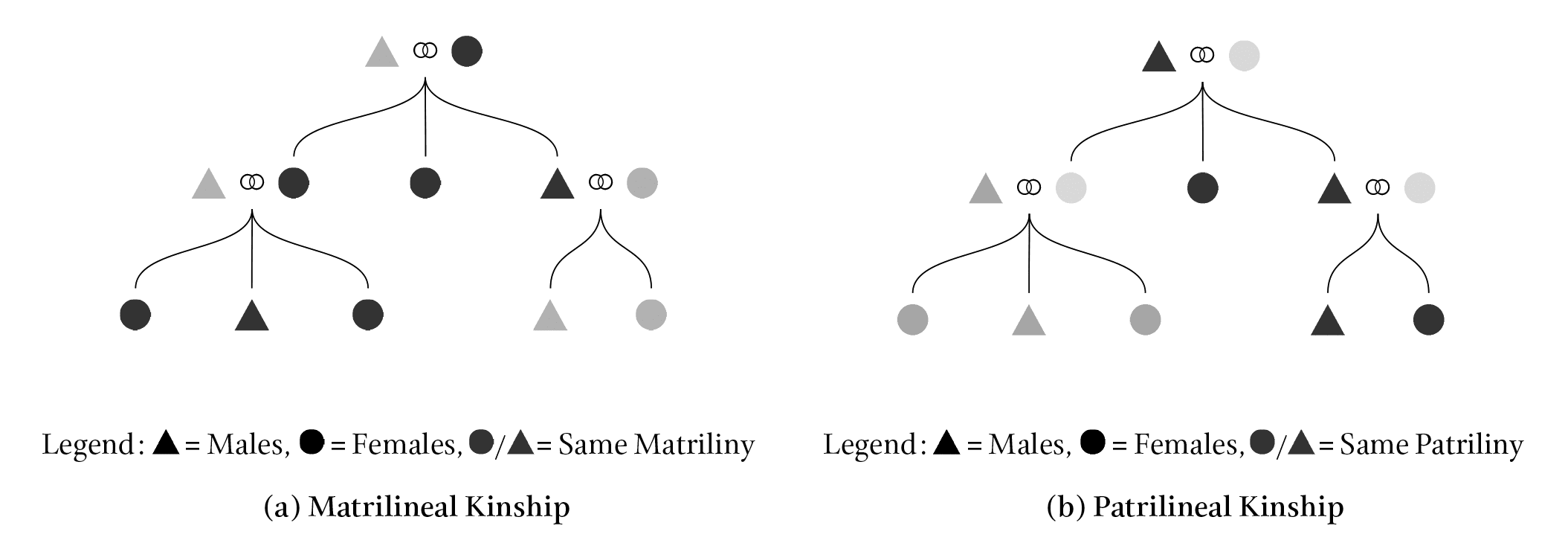 Kinship Structure & Women: image