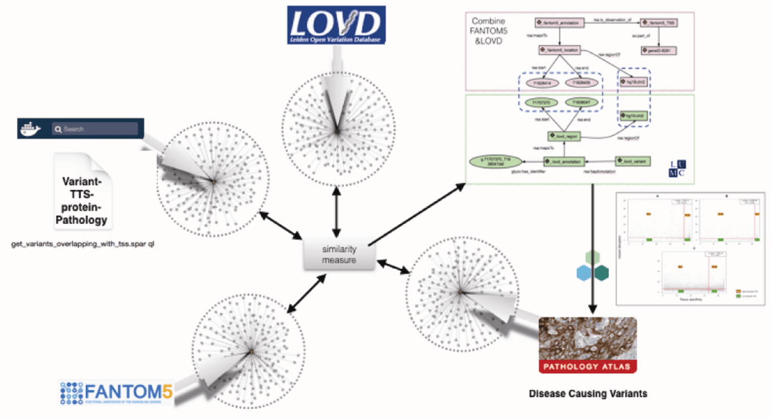 RESEARCH PAPER image