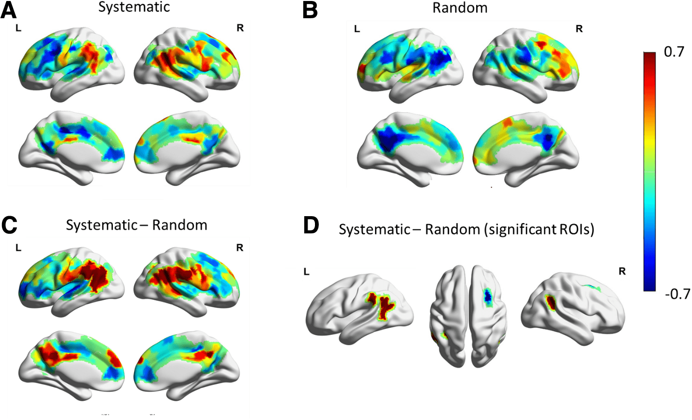 The interaction between random and systematic visual stimulation and image