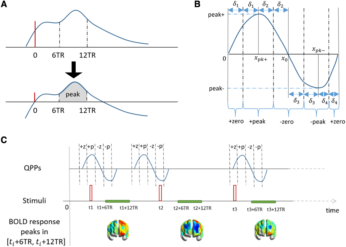 The interaction between random and systematic visual stimulation and image