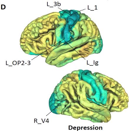 zhao, B., Li, T., li, y., Admirador, Z., xiong, D., Wang, X., gao, METRO., Herrero, SM, & Zhu, h. (2023). An image