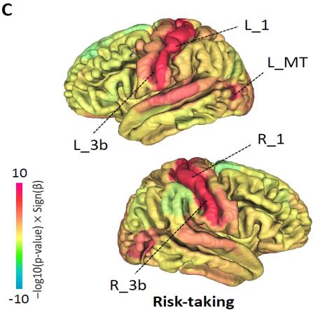 zhao, B., Li, T., li, y., Admirador, Z., xiong, D., Wang, X., gao, METRO., Herrero, SM, & Zhu, h. (2023). An image