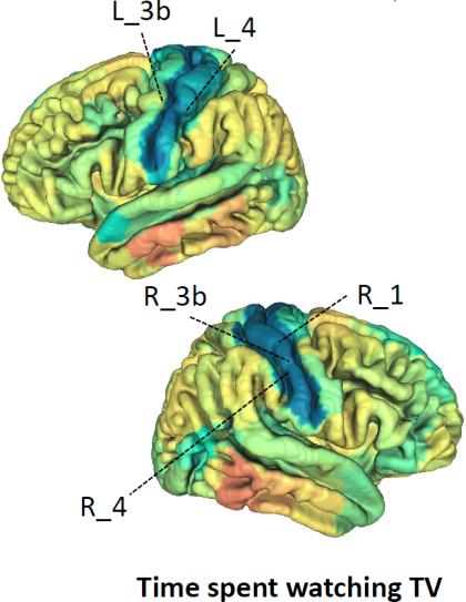 zhao, B., Li, T., li, y., Admirador, Z., xiong, D., Wang, X., gao, METRO., Herrero, SM, & Zhu, h. (2023). An image