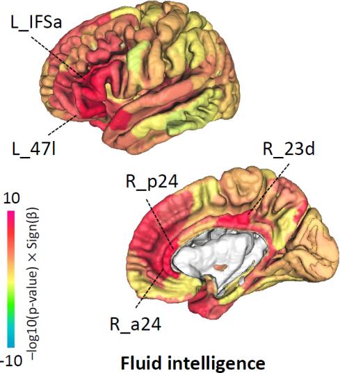 zhao, B., Li, T., li, y., Admirador, Z., xiong, D., Wang, X., gao, METRO., Herrero, SM, & Zhu, h. (2023). An image