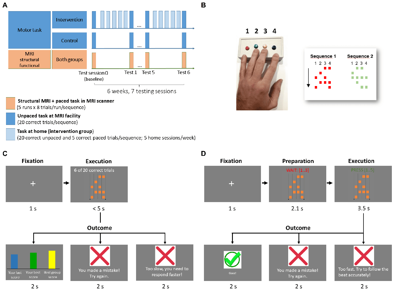 Garzón, B., Helms, G., Olsson, G., Brozzoli, C., Ullén. F., Diedrichsen, J., & Lövdén, M., (2023). image