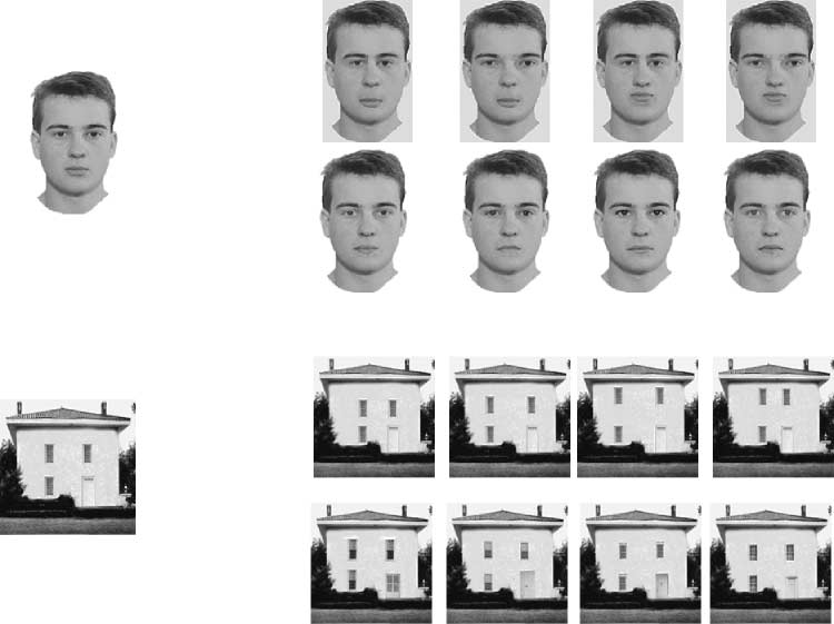 Specialized Face Perception Mechanisms Extract image