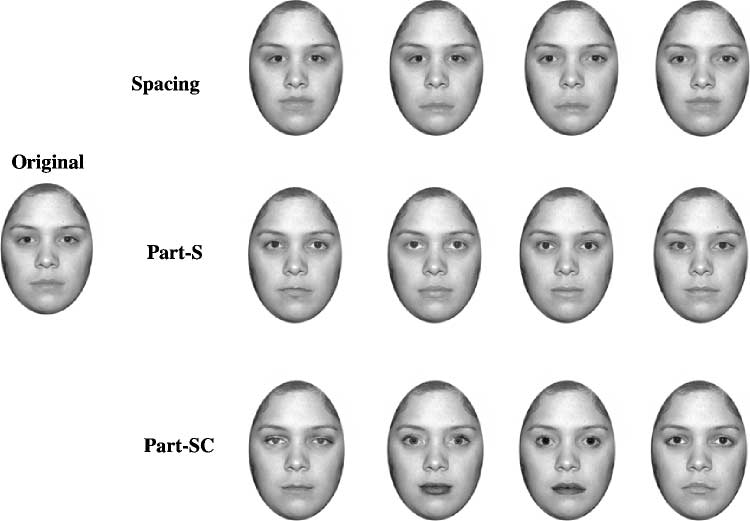 Specialized Face Perception Mechanisms Extract image