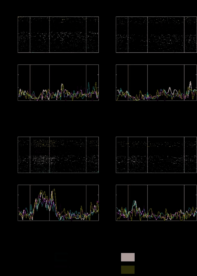 A Comparison of Abstract Rules in the Prefrontal image