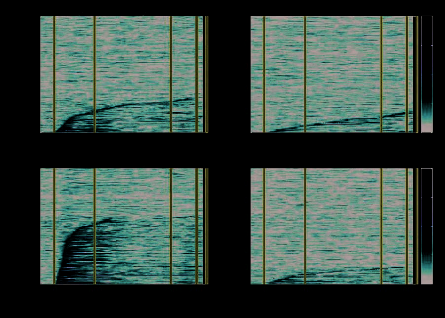 A Comparison of Abstract Rules in the Prefrontal image