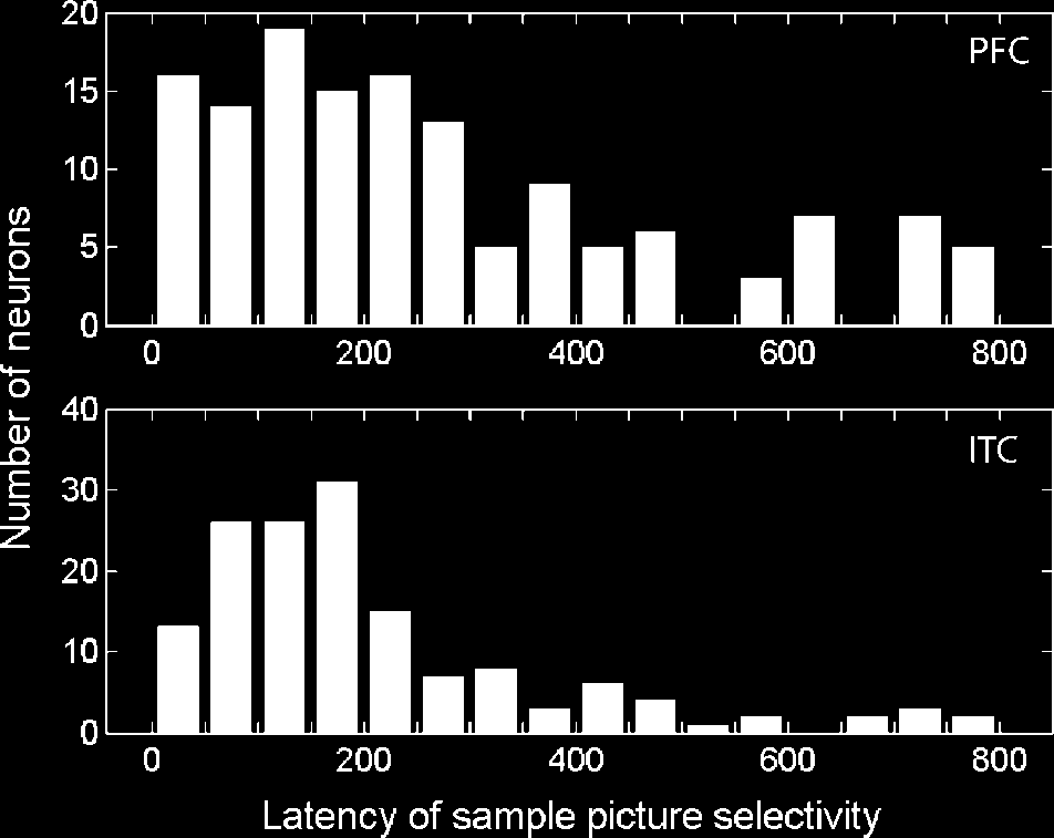 A Comparison of Abstract Rules in the Prefrontal image