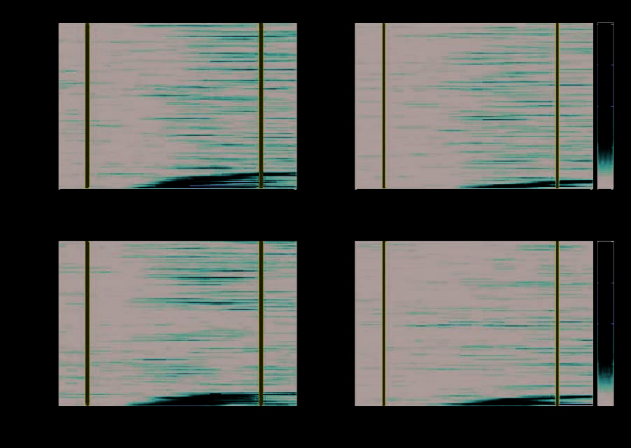 A Comparison of Abstract Rules in the Prefrontal image