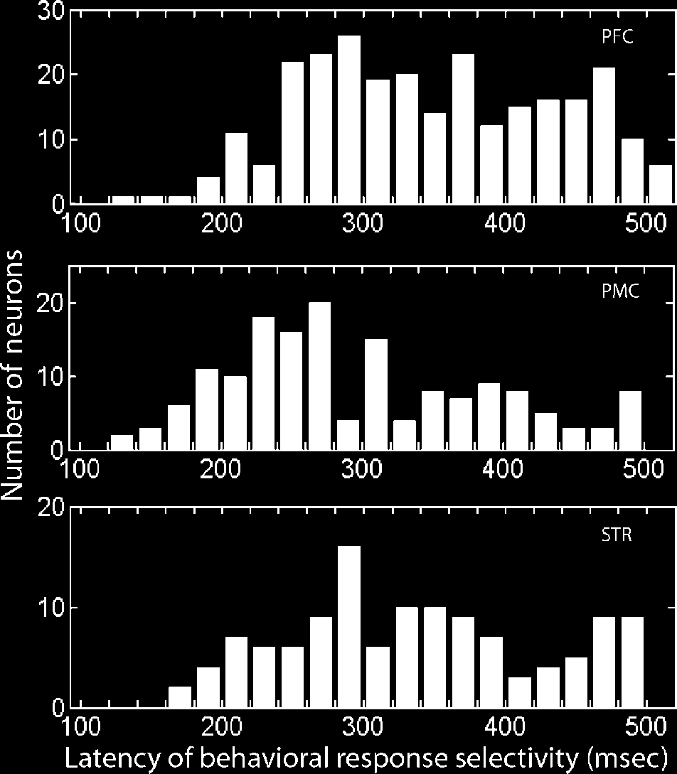 A Comparison of Abstract Rules in the Prefrontal image